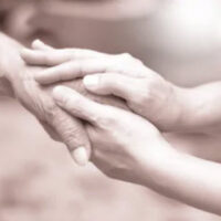 Hands Hands