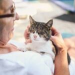 WithPet WithPet